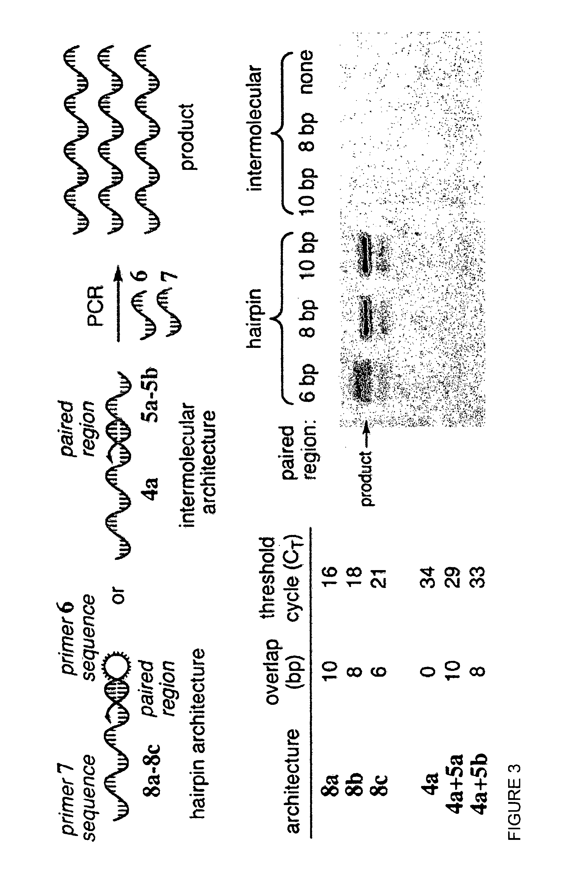 Reactivity-dependent and interaction-dependent PCR