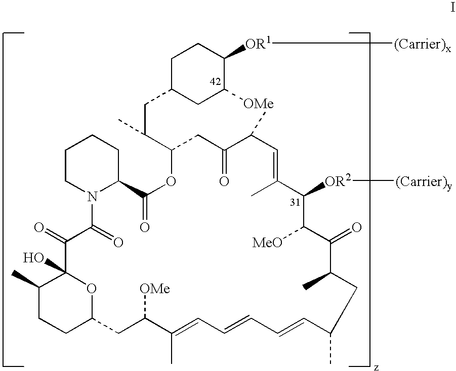 Rapamycin conjugates and antibodies