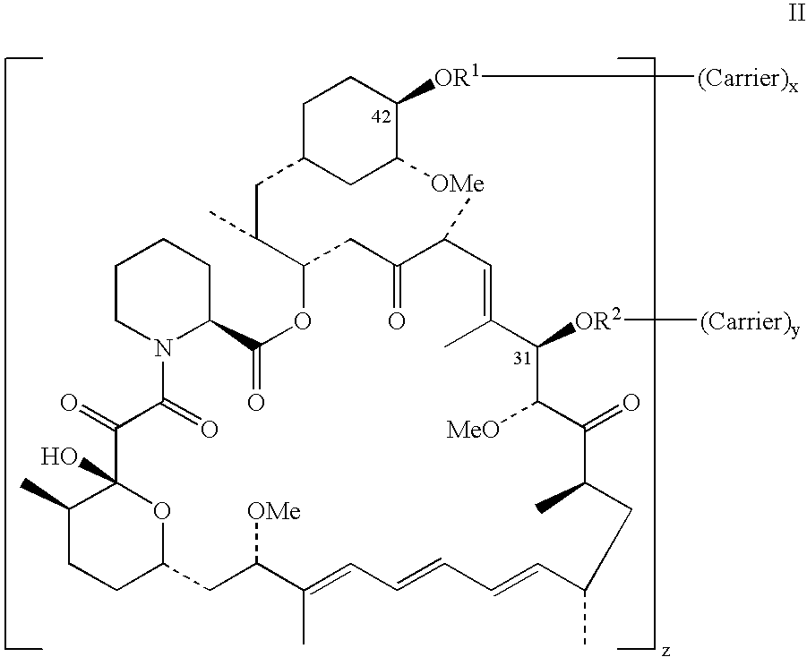 Rapamycin conjugates and antibodies