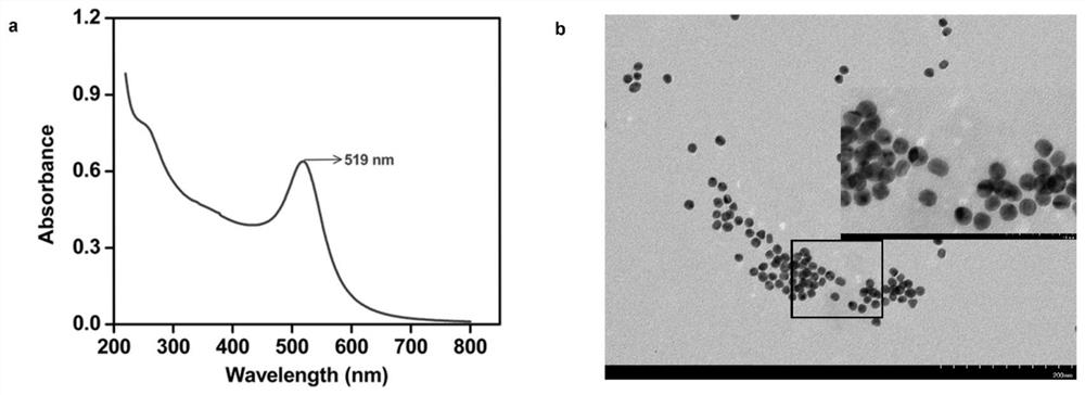 A track regeneration type DNA walker and its application