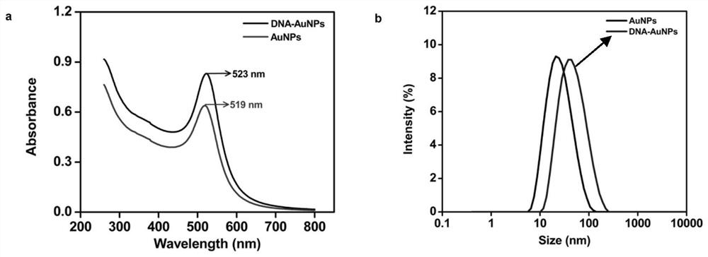 A track regeneration type DNA walker and its application