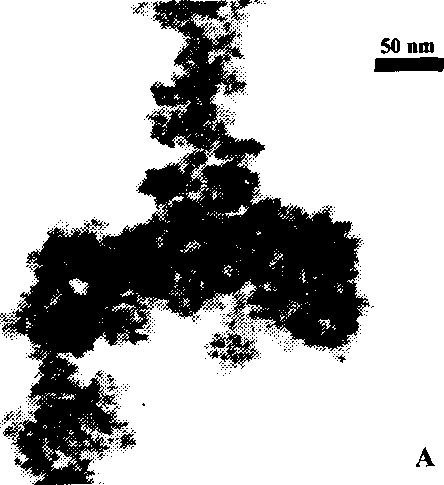 Method for preparing high specific surface metal oxide