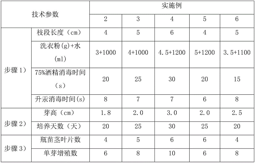 Cultivation method for micropropagation of catalpa bungei