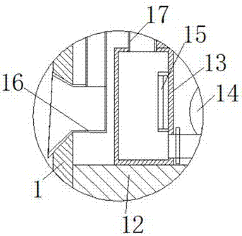 Dehydration device for processing freeze-dried foods