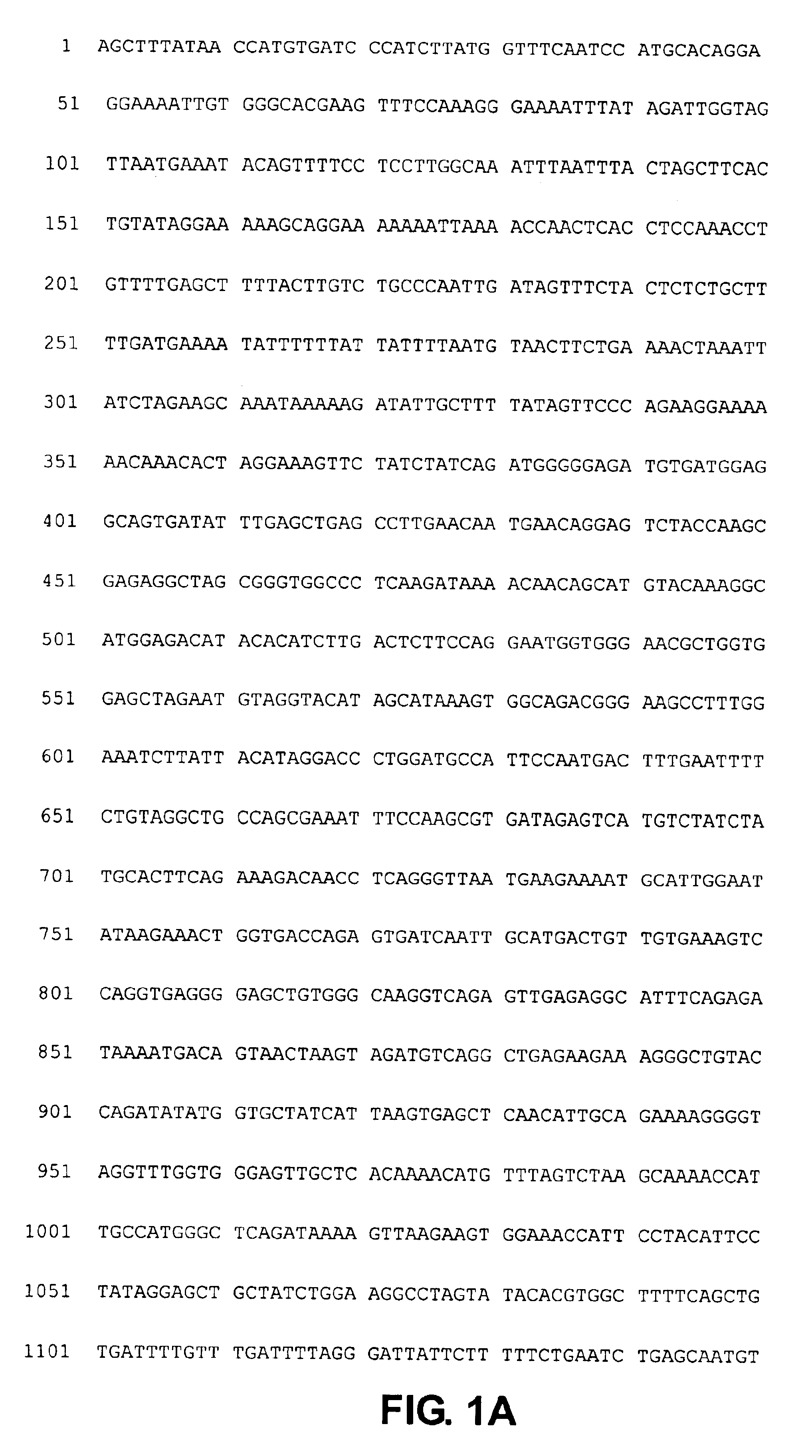 Gastrokines and derived peptides including inhibitors