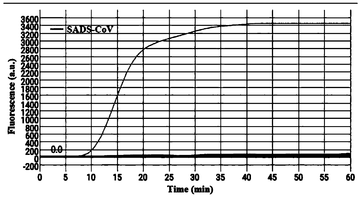 LAMP primer composition and kit for detecting swine acute diarrhea syndrome coronavirus by using microfluidic chip technology