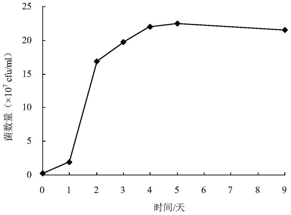 A Rhodococcus rhodococcus strain xhrr1 for purifying ammonia in aquaculture water and its application