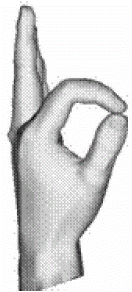 A 3D Simulation Method of Hand Movement Based on Dual Quaternions