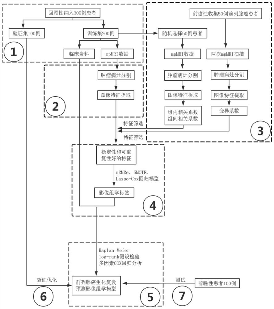 Method for predicting biochemical recurrence risk after prostatic cancer radical operation by MRI (magnetic resonance imaging) image