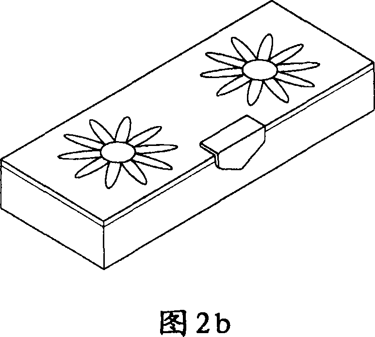 Sterilized micro nano-silver film having nonpoisonous and the process thereof