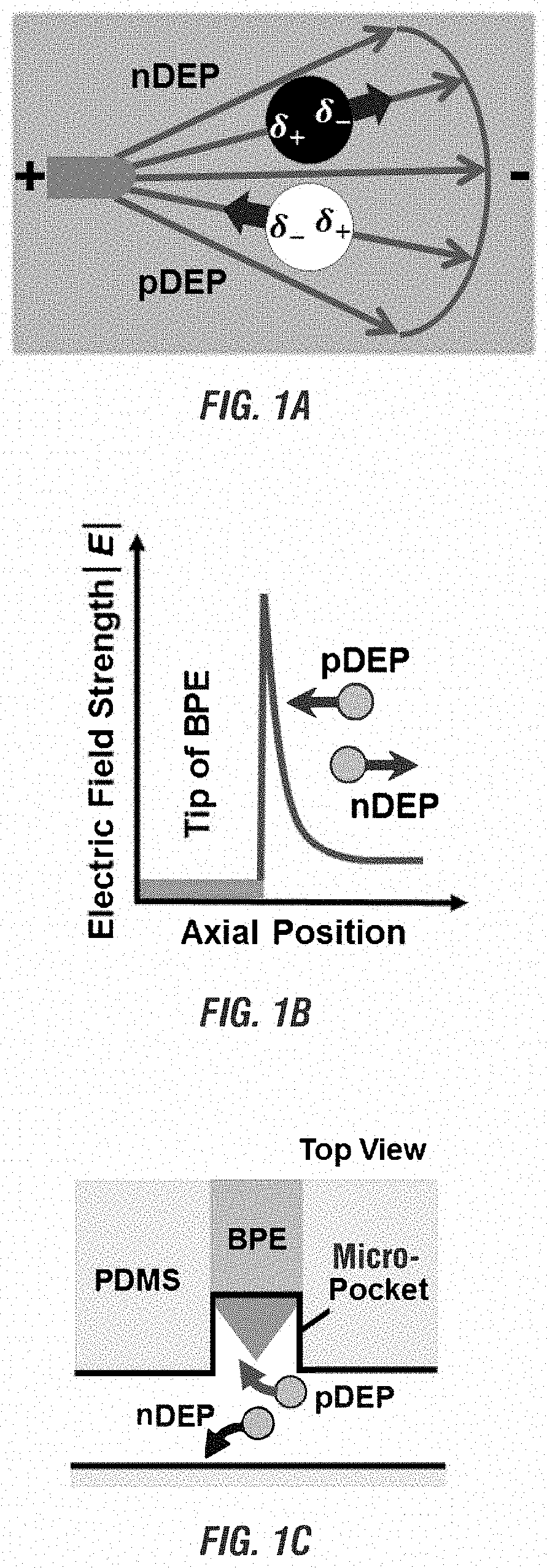 Integrated selective capture, sequestration, fluidic isolation, electrical lysis and analysis of single cells