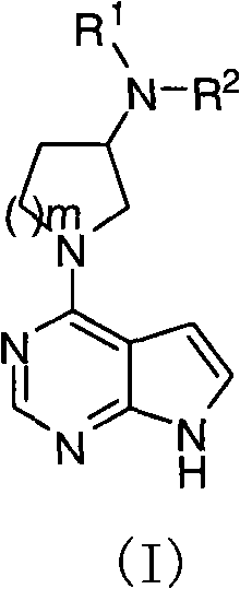 Pyrrolopyrimidine compound and use thereof