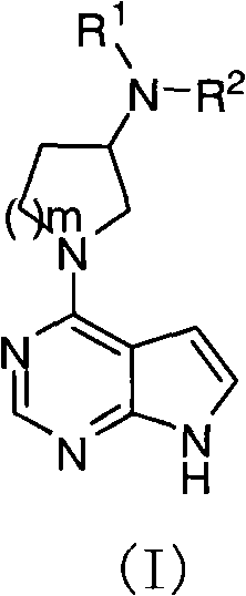 Pyrrolopyrimidine compound and use thereof