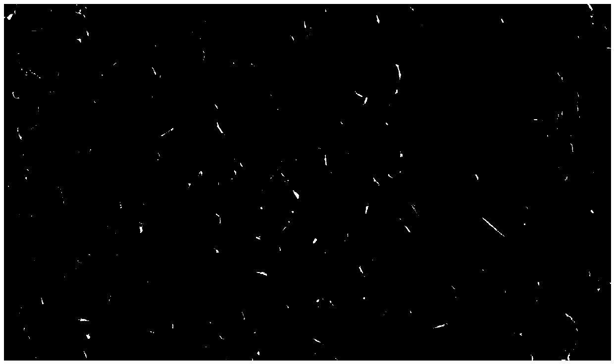 Antibacterial and mildew-proof polypropylene composition, foamed sheet and preparation method thereof