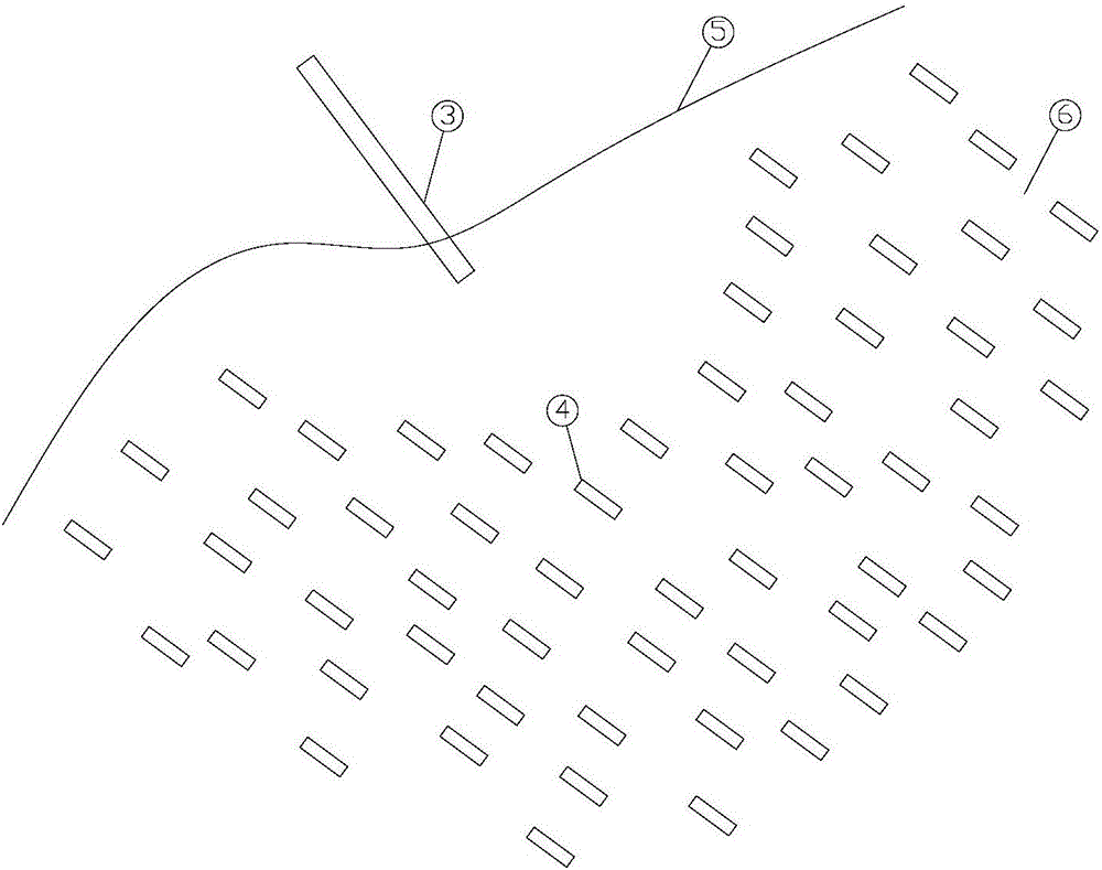 Method for removing water total N from surface water source by means of embedding biological active filler in wide-spectrum denitrifying bacteria