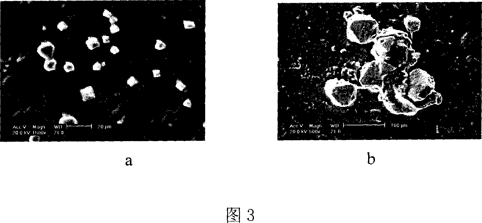 Urine process method