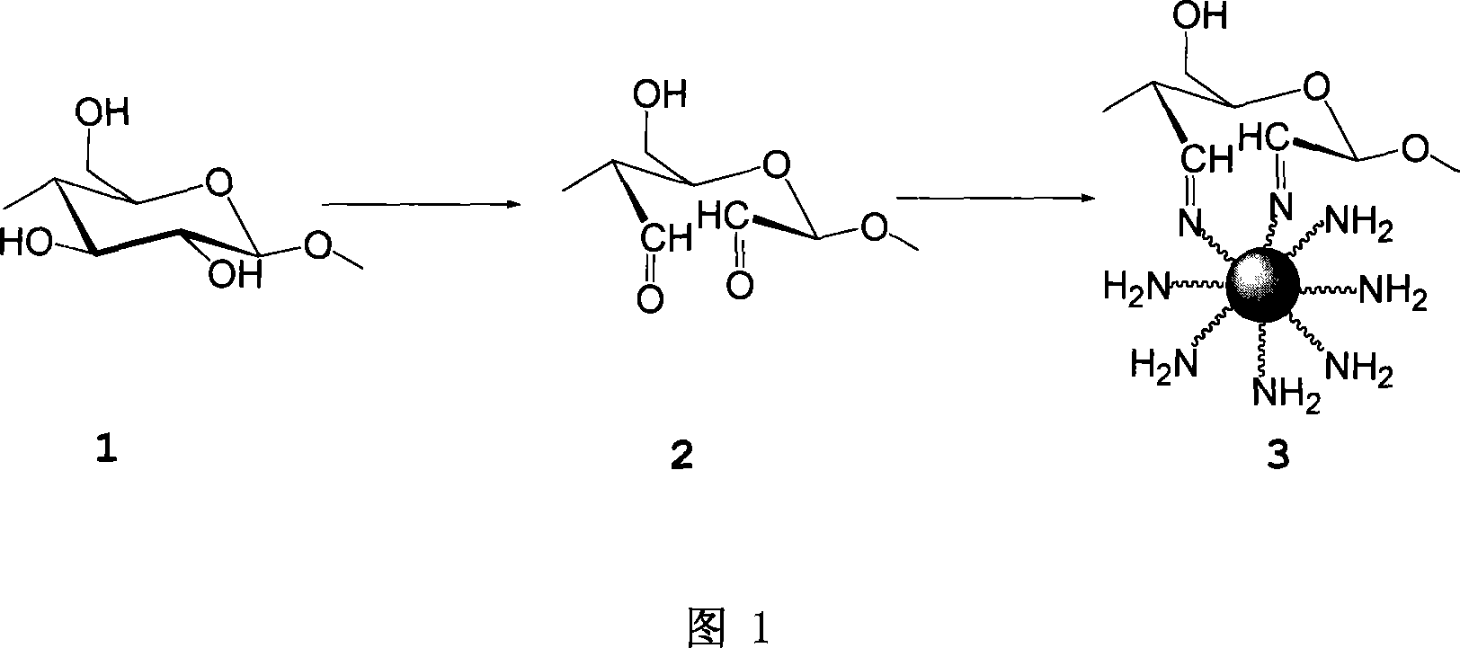 Fibrilia grafting amination modifying process