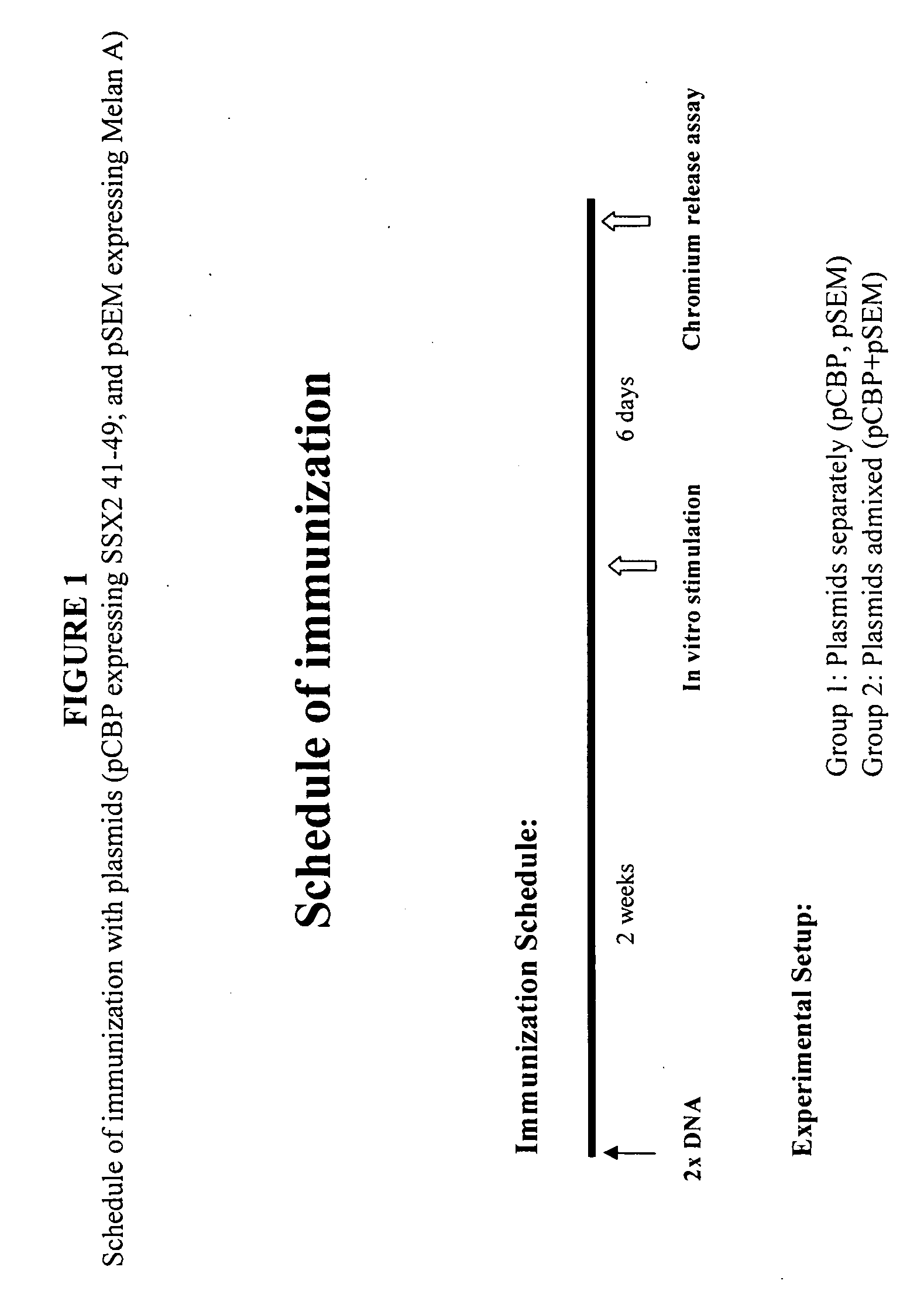 Combinations of tumor-associated antigens in diagnostics for various types of cancers