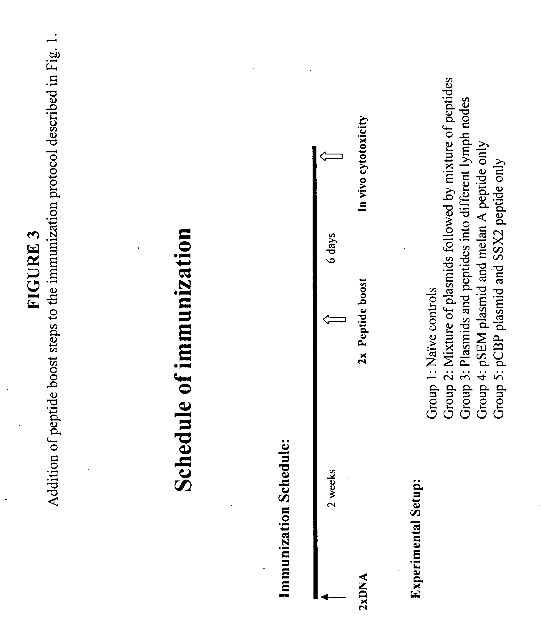 Combinations of tumor-associated antigens in diagnostics for various types of cancers