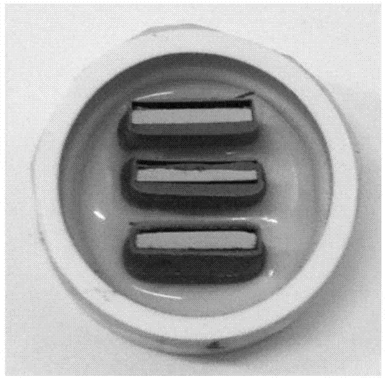 Method for detecting surface oxidized scale sample of hot rolled steel plate