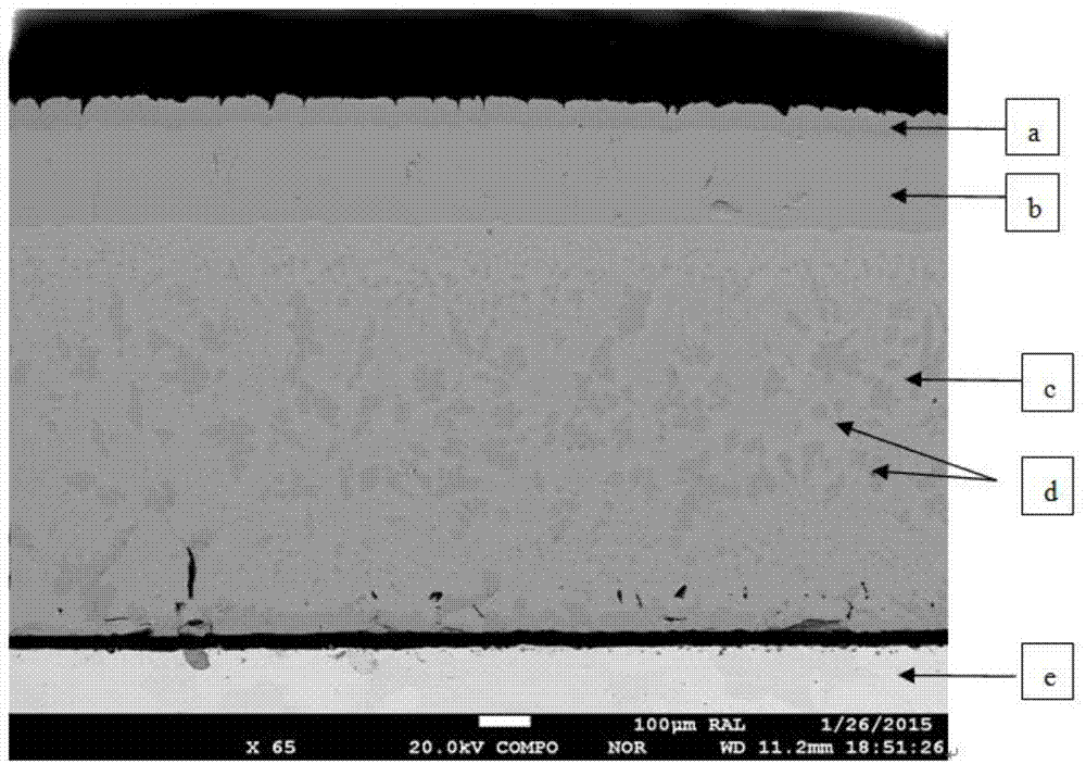 Method for detecting surface oxidized scale sample of hot rolled steel plate