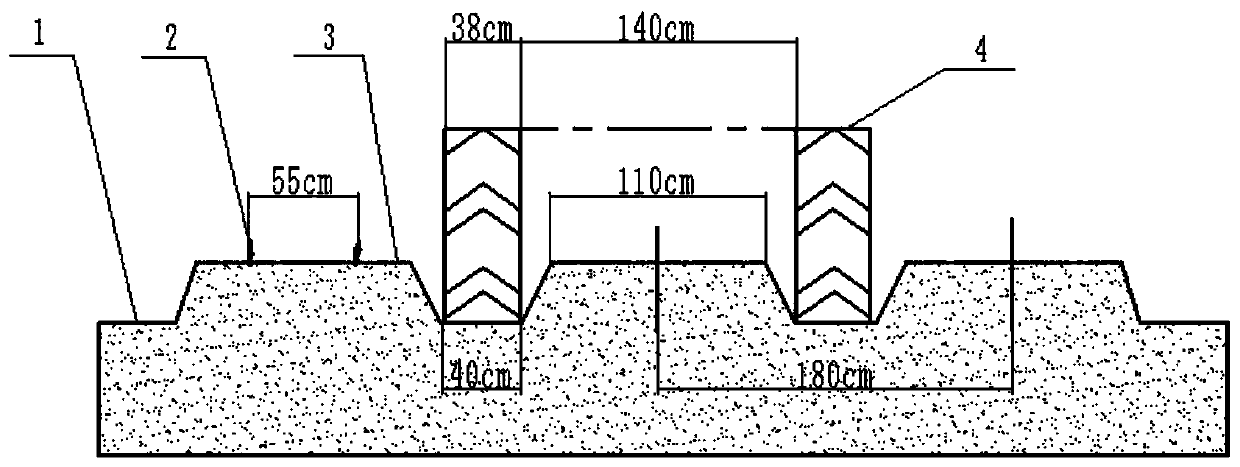 Alpinia officinarum planting method suitable for mechanization