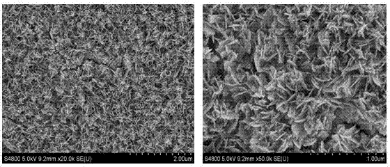 Method for preparing staged absorbable ha/acp composite coating on titanium implant surface