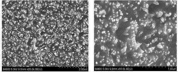 Method for preparing staged absorbable ha/acp composite coating on titanium implant surface