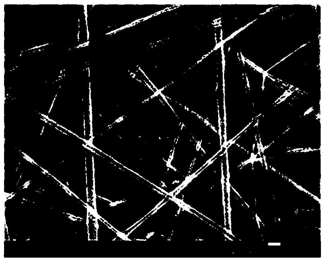 A kind of polymer composite film and preparation method thereof and lithium ion battery