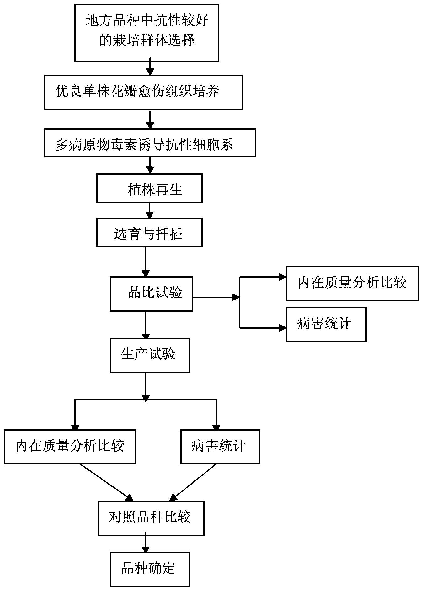 Breeding method for disease-resistant variety of dendranthema morifolium