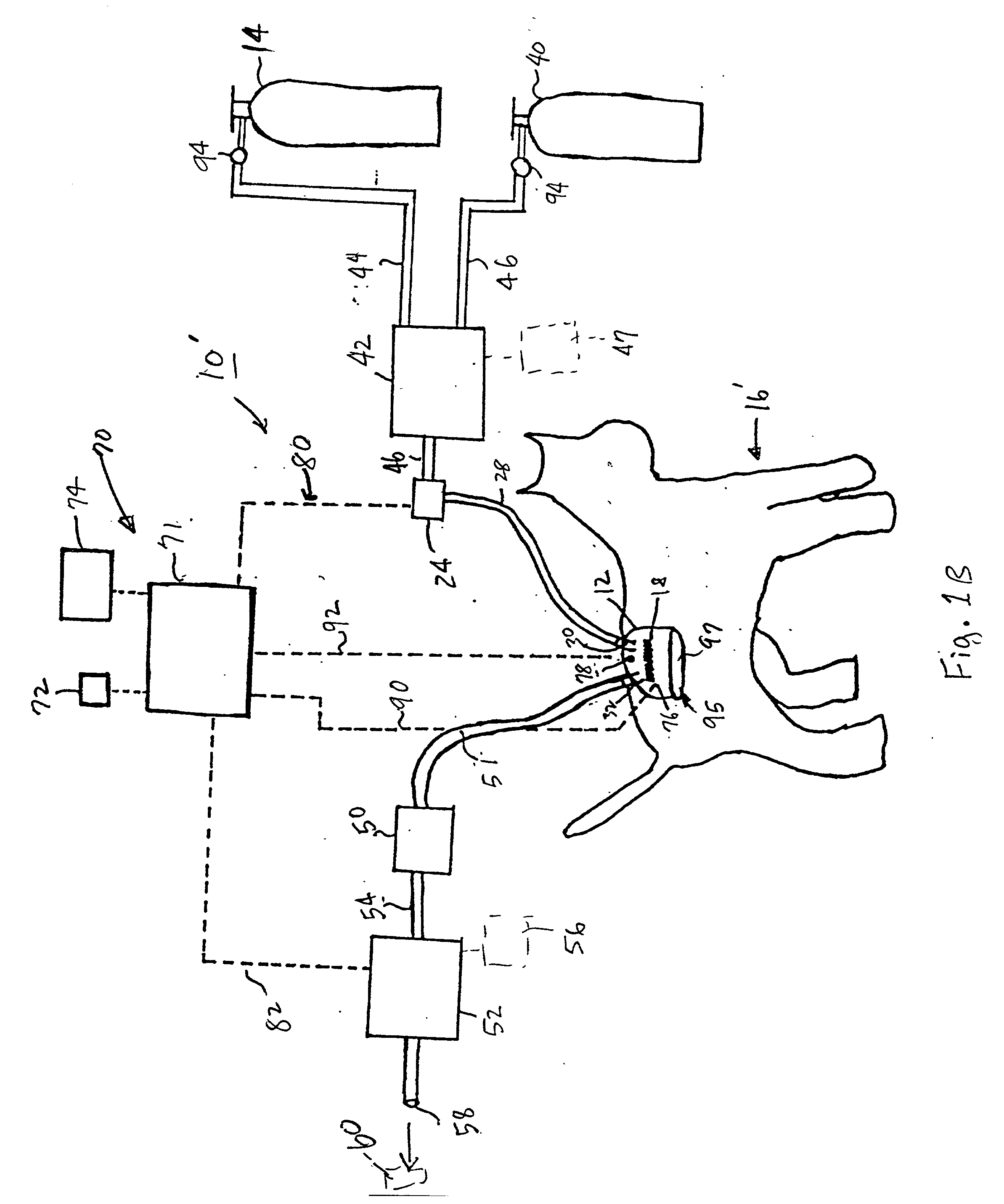 System and method for the prevention and treatment of animal wound infections using nitric oxide