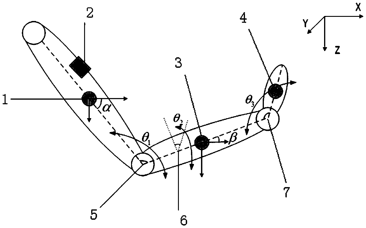 Parkinson's disease resting state tremor assessment method based on wearable somatosensory net