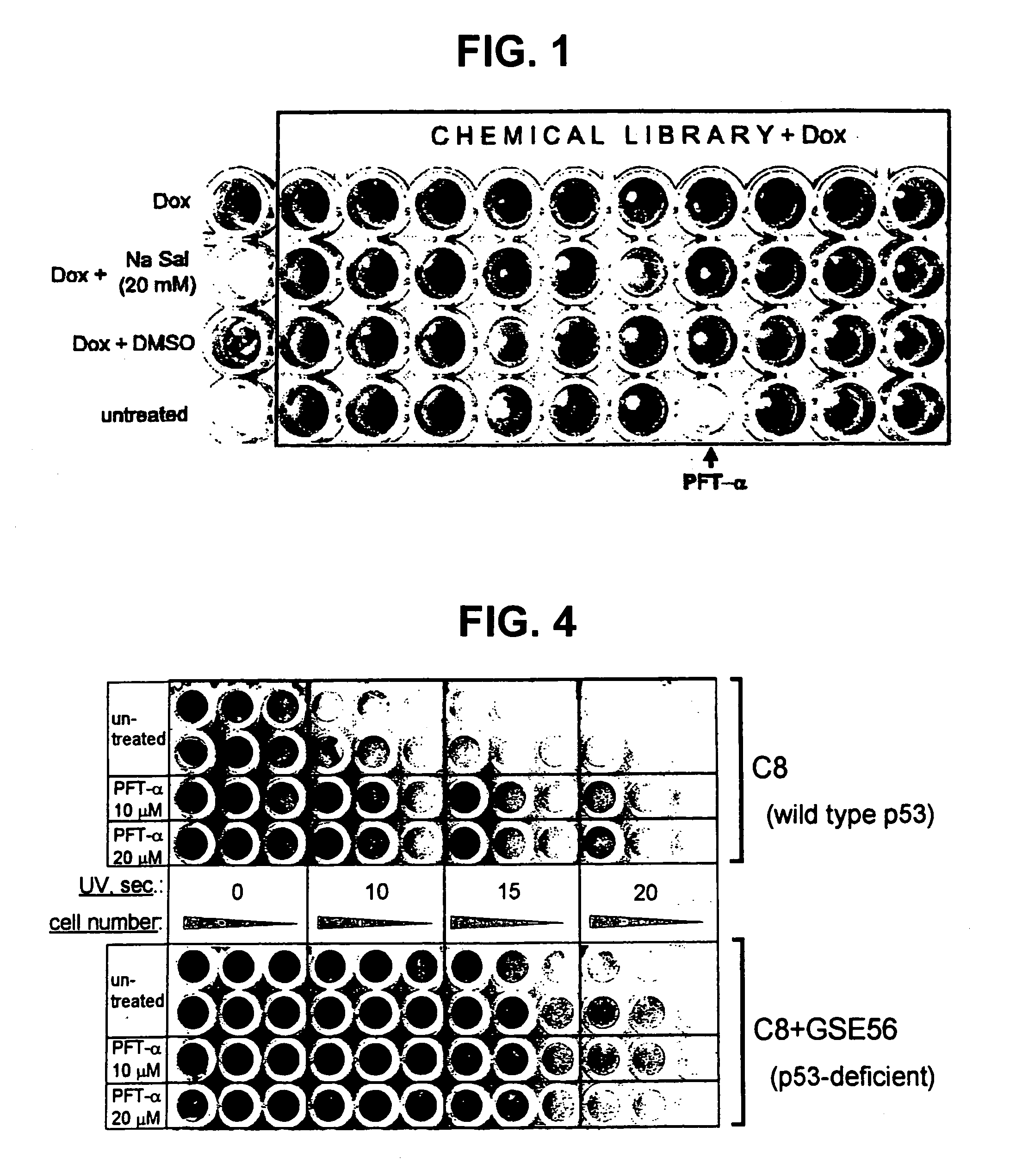 P53 inhibitors and therapeutic use of the same