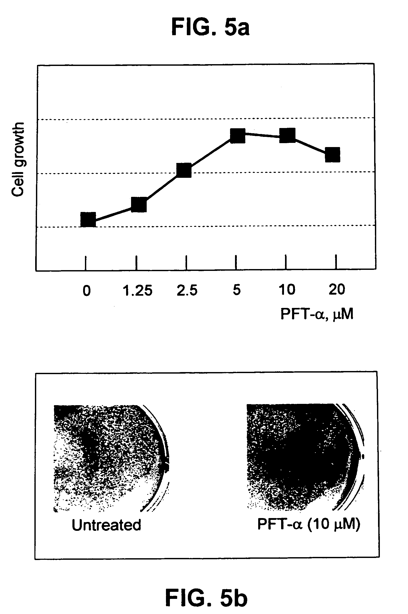 P53 inhibitors and therapeutic use of the same