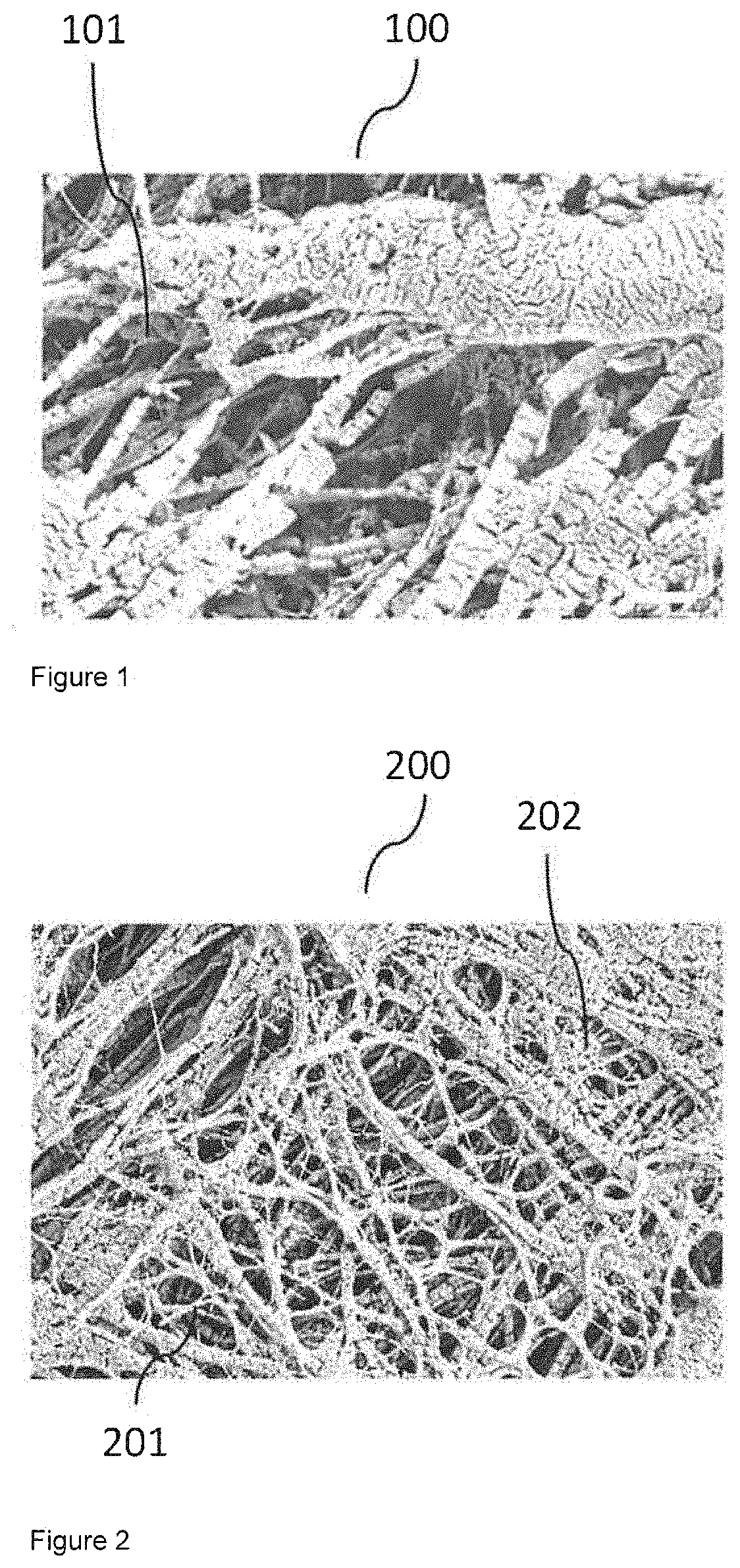 Surgical membrane