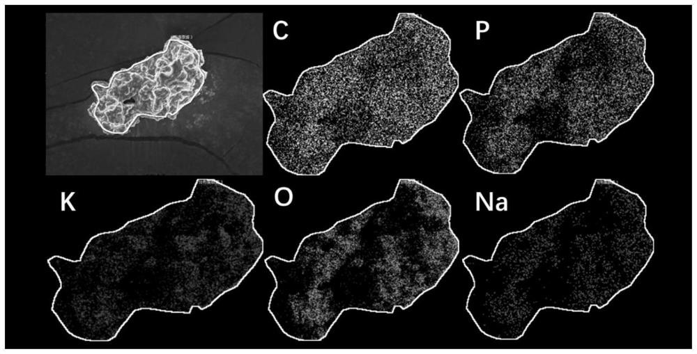 Preparation method of carbon-based difunctional soil remediation agent, product and remediation method