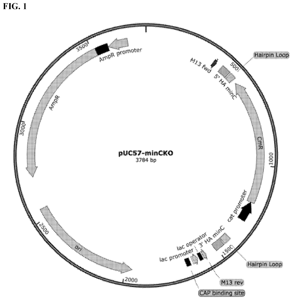 Compositions and methods for the encapsulation and scalable delivery of agrochemicals