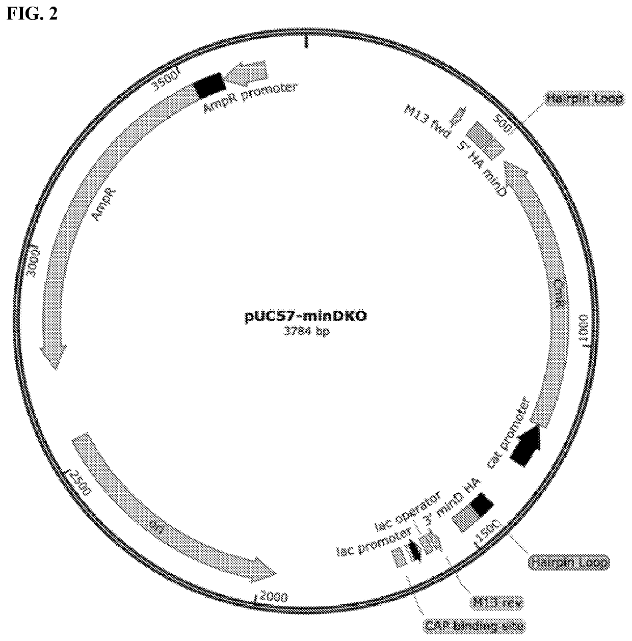 Compositions and methods for the encapsulation and scalable delivery of agrochemicals