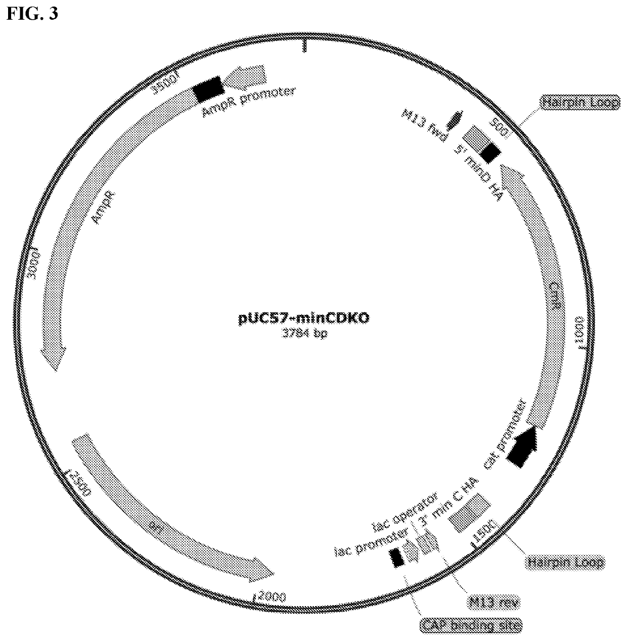 Compositions and methods for the encapsulation and scalable delivery of agrochemicals