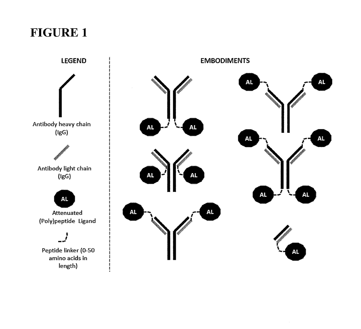 Fusions of antibodies to CD38 and attenuated interferon alpha