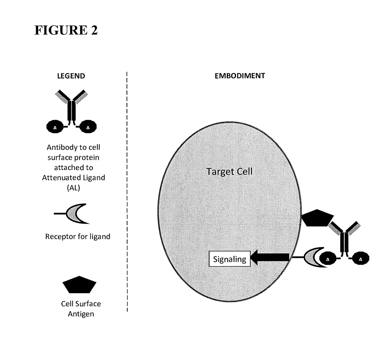 Fusions of antibodies to CD38 and attenuated interferon alpha