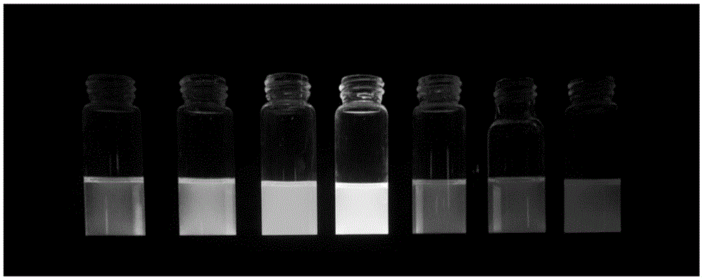 Core-shell magnetic quantum dot nanoparticles and preparation method thereof