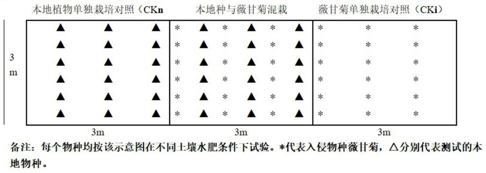 A method for using alternative species and their combination to synergistically prevent and control Mikania