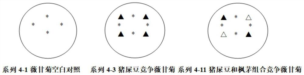 A method for using alternative species and their combination to synergistically prevent and control Mikania