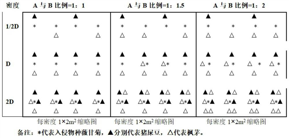 A method for using alternative species and their combination to synergistically prevent and control Mikania