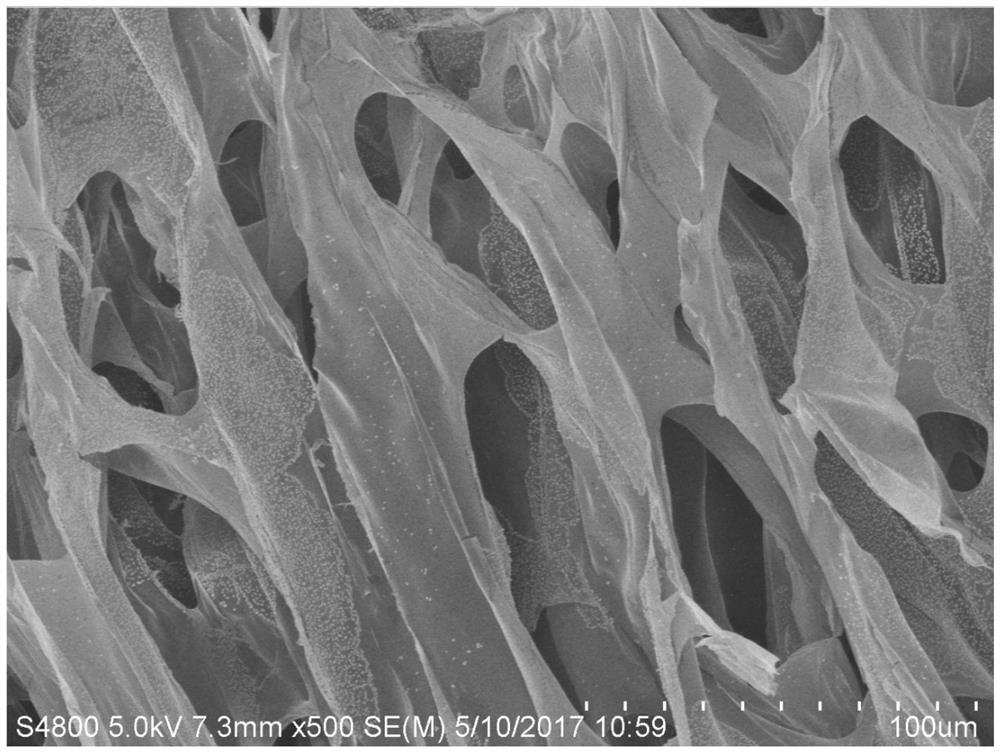 A kind of functionalized nano cellulose hydrogel and preparation method thereof