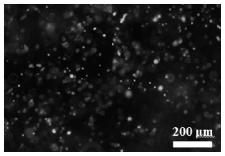 A kind of functionalized nano cellulose hydrogel and preparation method thereof