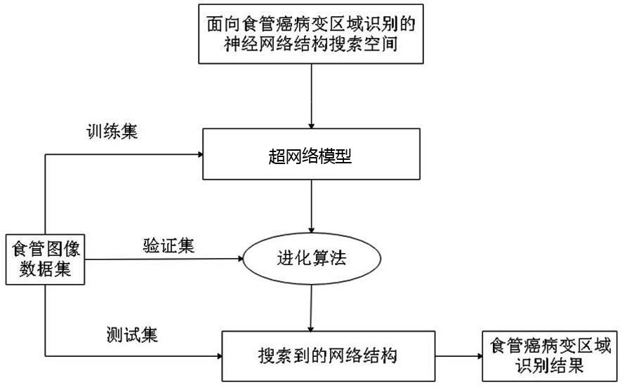 Searching for esophageal cancer lesion area recognition modeling method based on evolutionary neural network structure