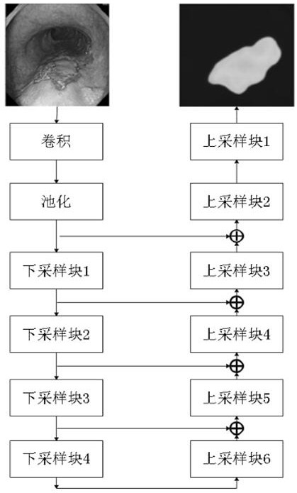 Searching for esophageal cancer lesion area recognition modeling method based on evolutionary neural network structure