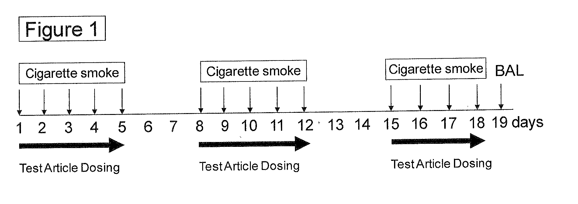 Methods and compositions for disease treatment using inhalation